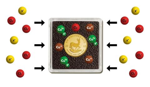 21 mm - Quadrum İntercept Kare Kapsül (6'lı paket)