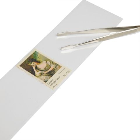 Leuchtturm Şeffaf Zeminli Havit 265x145mm Hawid
